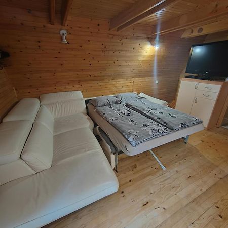Koca Planika, Sviscaki Villa Ilirska Bistrica Ngoại thất bức ảnh