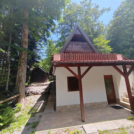 Koca Planika, Sviscaki Villa Ilirska Bistrica Ngoại thất bức ảnh