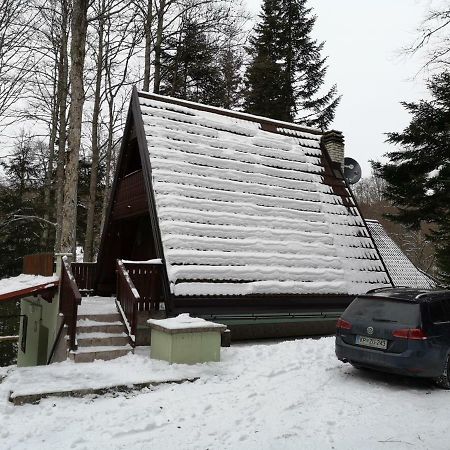 Koca Planika, Sviscaki Villa Ilirska Bistrica Ngoại thất bức ảnh