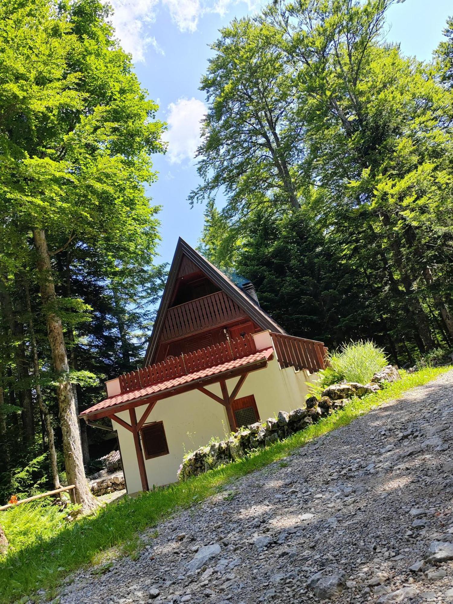 Koca Planika, Sviscaki Villa Ilirska Bistrica Ngoại thất bức ảnh