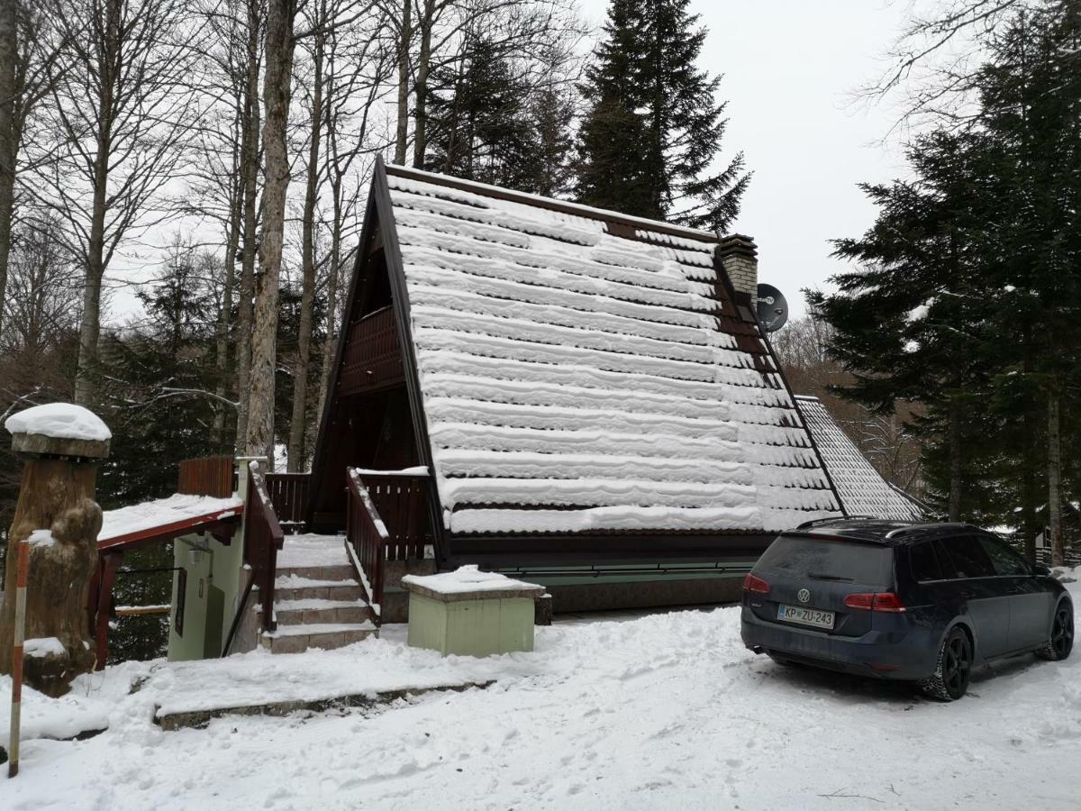 Koca Planika, Sviscaki Villa Ilirska Bistrica Ngoại thất bức ảnh